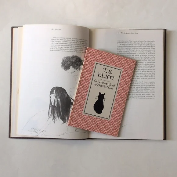 More Joy of Sex - - Picture 6 of 16